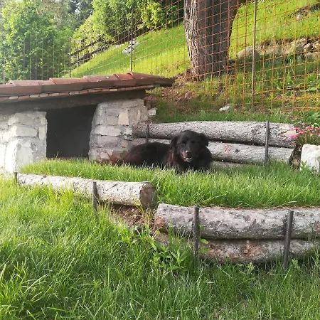 לינה וארוחת בוקר Callort 3*