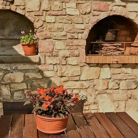 לינה וארוחת בוקר Callort