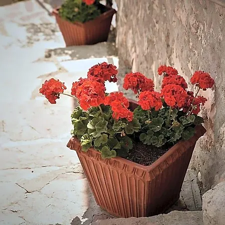 Callort Bed & Breakfast Adrara San Rocco